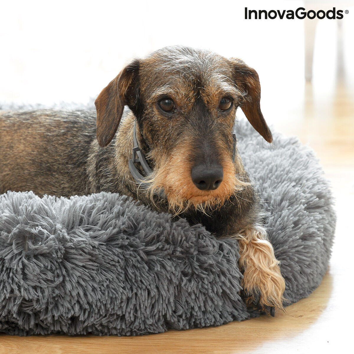 Cama Antiestrés para Mascotas Bepess InnovaGoods 60 cm