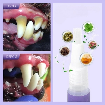 [PROMOCIÓN] Gel de alivio para mascotas